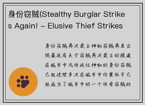 身份窃贼(Stealthy Burglar Strikes Again! - Elusive Thief Strikes Once More!)